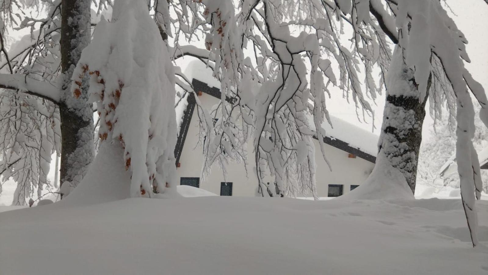Oak House Villa Brusane Dış mekan fotoğraf
